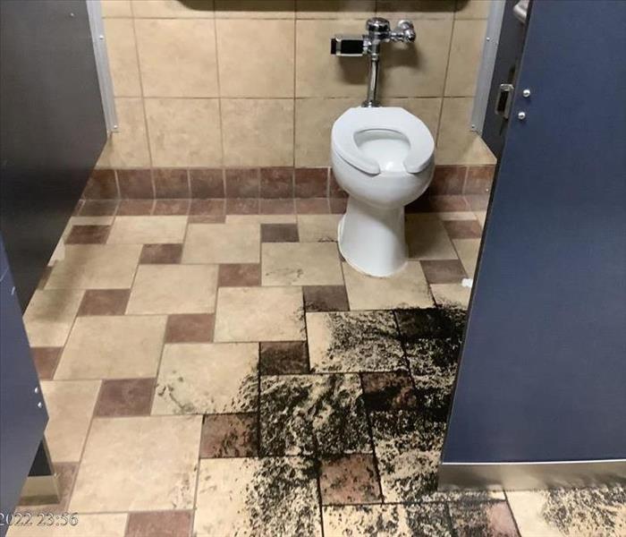 Contaminated Toilet 